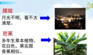 《丁香结》课堂笔记 《丁香结》课堂笔记